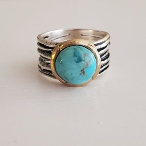 VTG Chapin & Hollister Ring